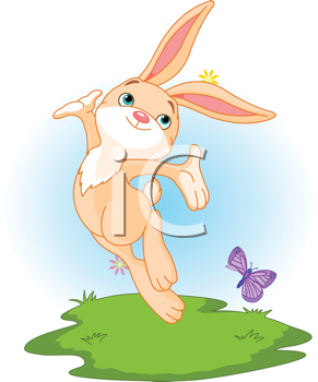 Insect Clipart