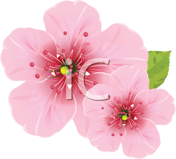 Nature and Scenic Clipart