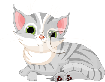 Pet Clipart