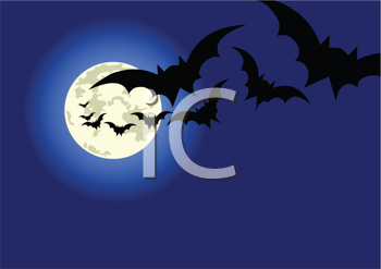 Insect Clipart