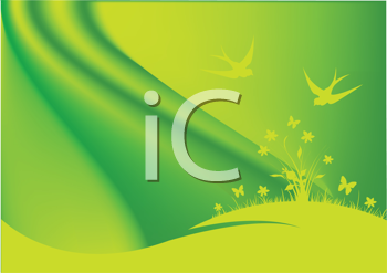 Insect Clipart