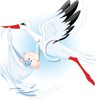Insect Clipart