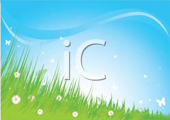 Insect Clipart