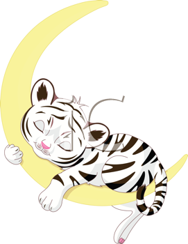 Pet Clipart
