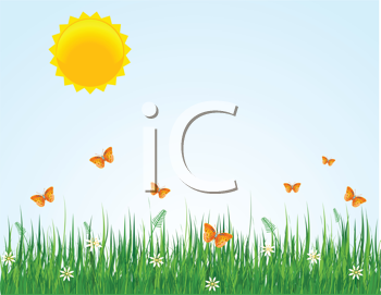 Insect Clipart