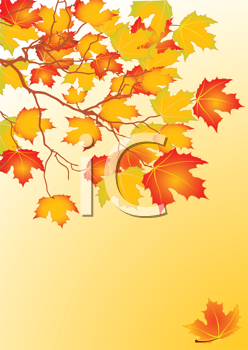 Nature and Scenic Clipart