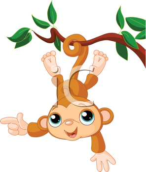 Primate Clipart