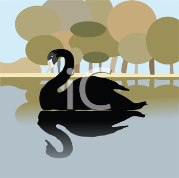 Bird Clipart