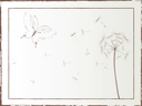 Flower Clipart