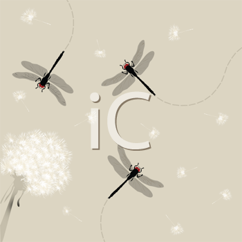 Insect Clipart