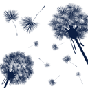 Flower Clipart