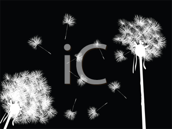 Flower Clipart