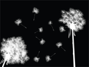 Flower Clipart