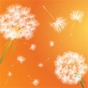Flower Clipart