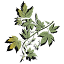Farming Clipart