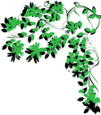 Plant Clipart