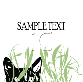Insect Clipart