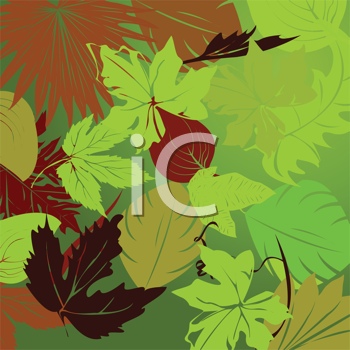 Nature and Scenic Clipart