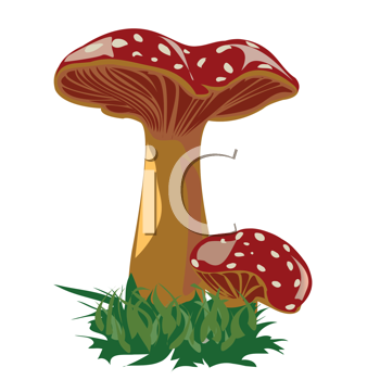 Nature and Scenic Clipart