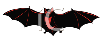 Mammal Clipart