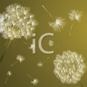Flower Clipart