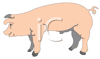 Farm Animal Clipart