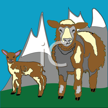 Livestock Clipart