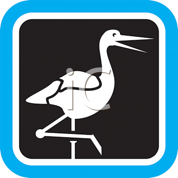 Bird Clipart