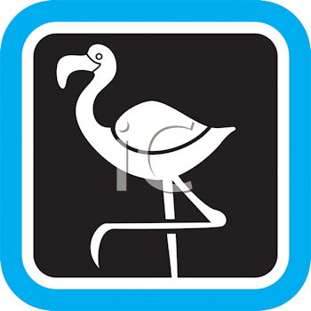 Bird Clipart