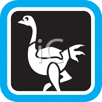 Bird Clipart