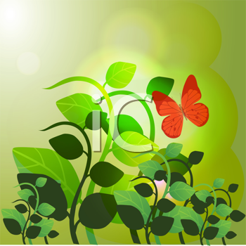 Insect Clipart