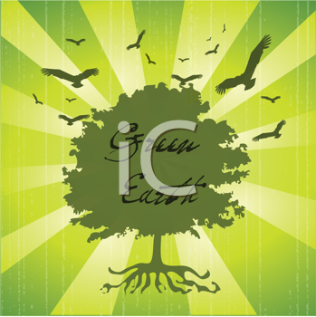 Insect Clipart