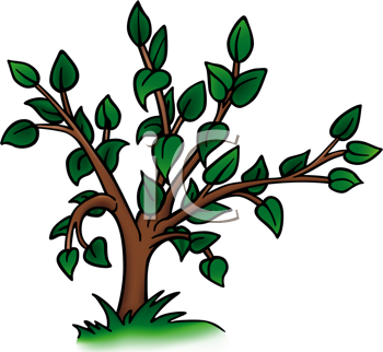 Nature and Scenic Clipart