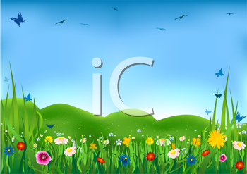 Insect Clipart