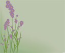 Flower Clipart