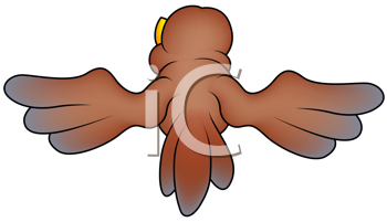 Insect Clipart