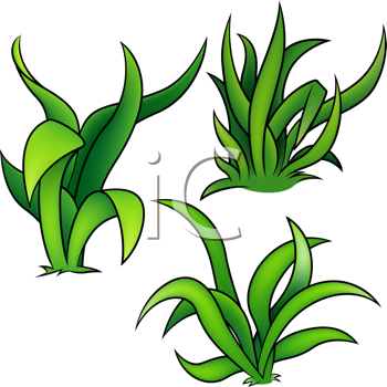 Nature and Scenic Clipart