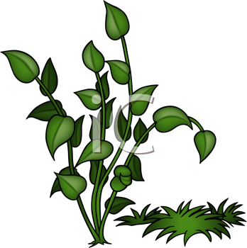 Nature and Scenic Clipart