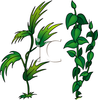 Nature and Scenic Clipart