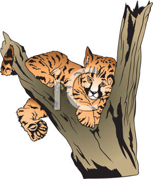 Pet Clipart