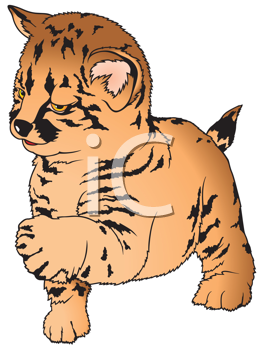 Pet Clipart
