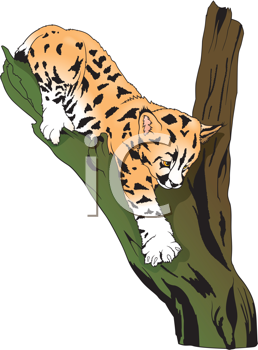 Big Cat Clipart