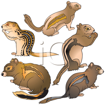 Rodent Clipart
