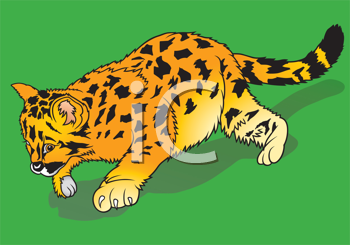 Pet Clipart