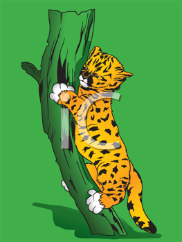 Pet Clipart
