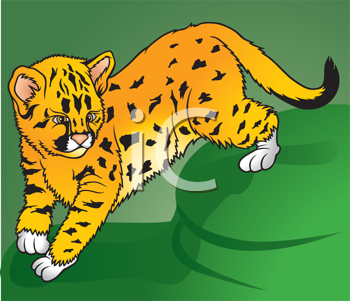 Pet Clipart