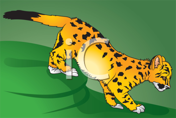 Pet Clipart