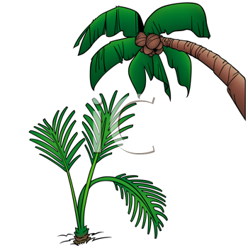 Nature and Scenic Clipart