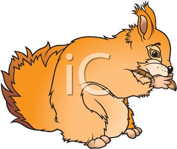 Rodent Clipart