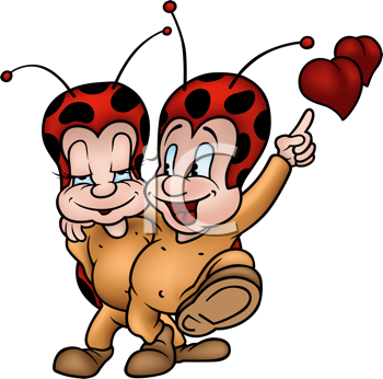 Insect Clipart